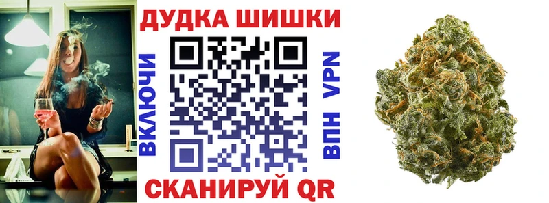 Цена Злынка hydra tor  Галлюциногенные грибы  ГАШ  Экстази  COCAIN  Каннабис 