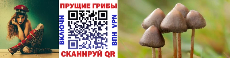 Псилоцибиновые грибы Magic Shrooms Злынка